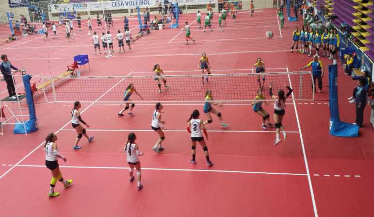Asturias Castilla La Mancha Voleibol Infantil 4